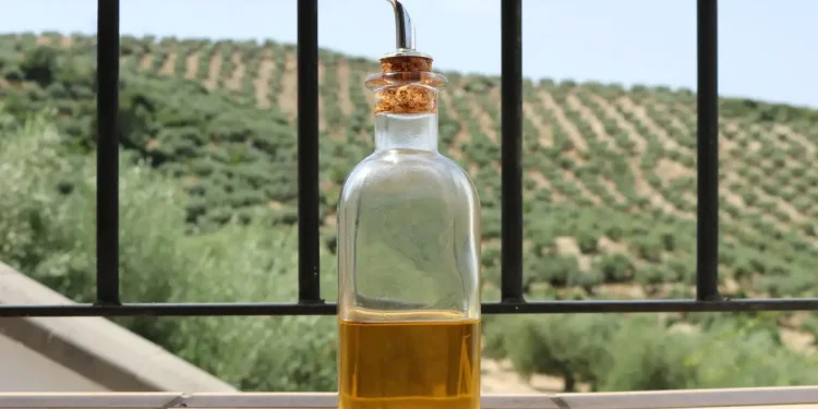 Brasil: Anvisa proíbe venda de outras duas marcas de azeite