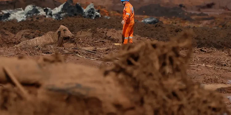 Justiça: STJ mantém multa de R$ 86,2 mi contra Vale por tragédia de Brumadinho