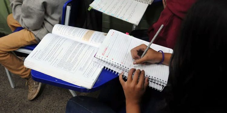 Pesquisa: Três em cada dez brasileiros são analfabetos funcionais