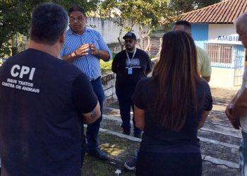 Guarapari: CPI dos Maus-Tratos aponta irregularidades em visita ao Centro de Zoonoses