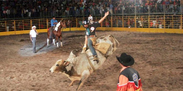Alfredo Chaves: Cidade se prepara para a 29ª Festa do Clube do Cavalo