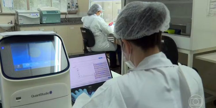 Teste molecular: SUS começa a oferecer novo exame para prevenir câncer de colo de útero
