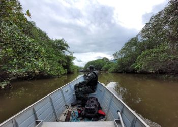 Junho Verde: Polícia Militar realiza diversas ações de preservação ambiental