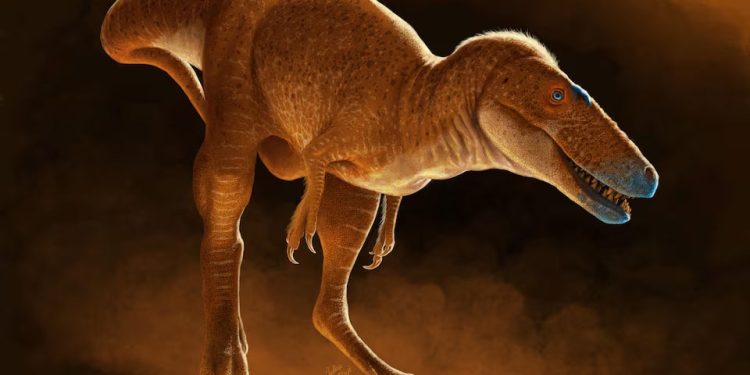 Ciência: Dinossauro ‘Príncipe Dragão’ da Mongólia foi o precursor do T. rex