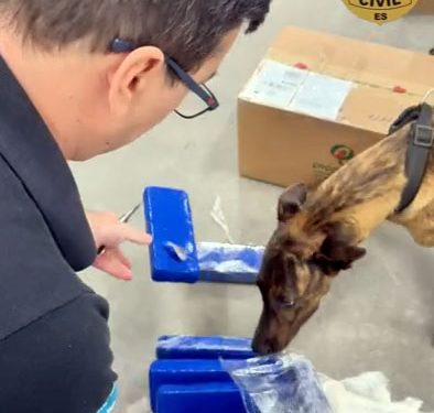 Cachoeiro de Itapemirim: PCES e Correios apreendem 10 quilos de maconha enviados por encomenda