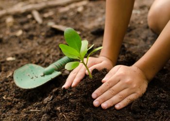 Presidente Kennedy: Semana do Meio Ambiente terá programação diversificada e educativa
