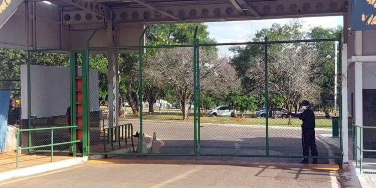 Brasília: Governo do DF confirma caso de gripe aviária no zoológico