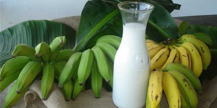 Alfredo Chaves: Projeto ‘Cidade em Festa’ cria o clima da Festa da Banana e do Leite 2025