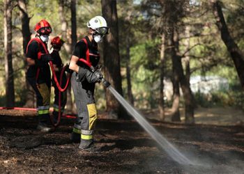 França: Centenas de bombeiros combatem incêndio florestal no sul do país