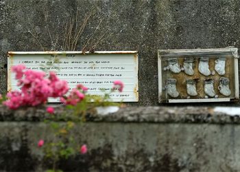 Irlanda: Começa a escavação de vala comum em lar para mães e bebês administrado pela Igreja