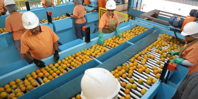 Economia: Quase 700 produtos não serão taxados pelos EUA