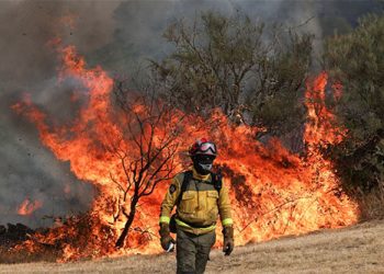 Europa: Incêndios florestais atingem pontos turísticos e florestas