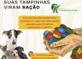 Iconha: Campanha “Tampinha do Bem” transforma resíduos em ração para cães e gatos