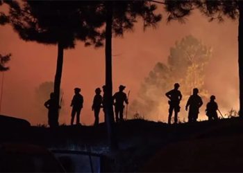 Onda de calor: Portugal decreta estado de alerta contra incêndios