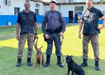 Pets: PMES lança campanha para adoção dos cães Pretinha e Caramelo