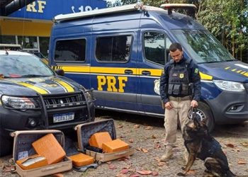 Guarapari: PRF prende passageiro transportando 52 kg de maconha em ônibus