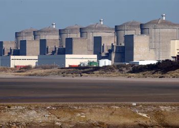 França: Enxame de águas-vivas fecha usina nuclear