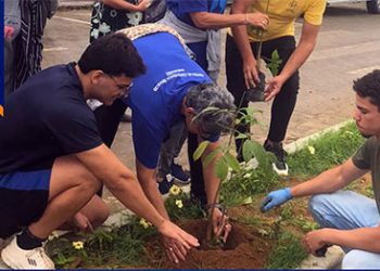 Marataízes: Plantio de mudas encerra Setembro Amarelo com ação de conscientização