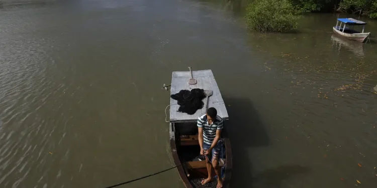 Benefício: Seguro defeso do pescador artesanal terá novas regras
