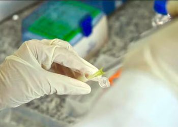 UFMG: Vacina contra dependência de cocaína e crack avança para testes em humanos