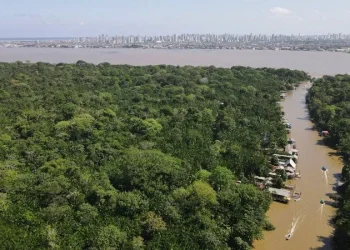 COP30: 144 países apresentam planos para adaptação climática