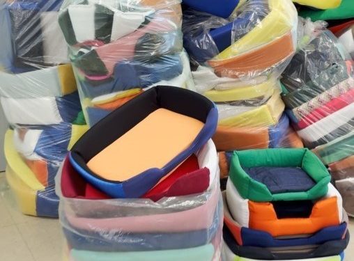 Espírito Santo: Cachoeiro de Itapemirim recebe camas pets produzidas no sistema prisional para animais resgatados