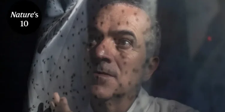 ‘Aedes sem dengue’: Brasileiro é listado entre os 10 cientistas mais importantes de 2025