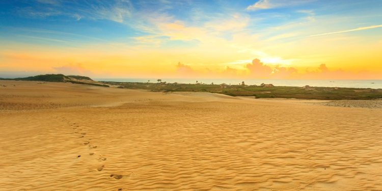 Turismo: Descubra os encantos capixabas do Parque Estadual de Itaúnas