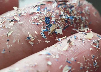 Saúde: Cientistas querem saber quanto microplástico existe no corpo humano