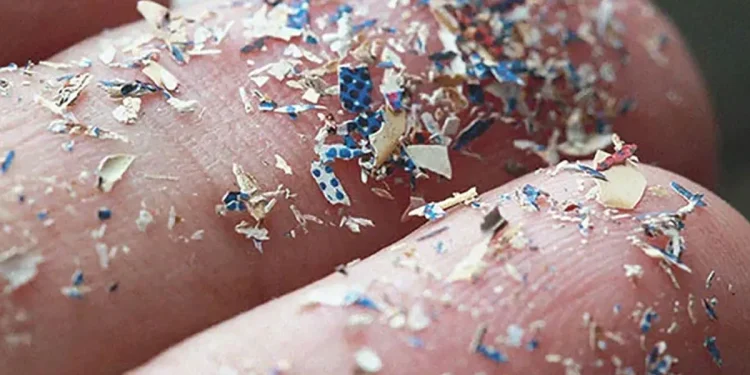 Saúde: Cientistas querem saber quanto microplástico existe no corpo humano