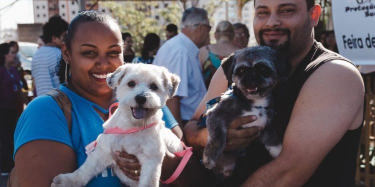 Anchieta: Prefeitura abre processo seletivo para área de proteção animal