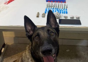 Guarapari: 10º BPM realiza apreensões de drogas e recuperação de veículos