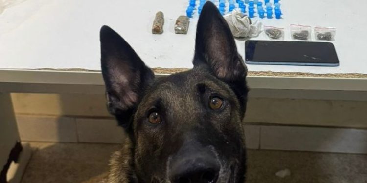 Guarapari: 10º BPM realiza apreensões de drogas e recuperação de veículos