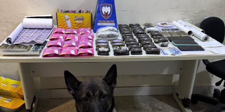 Guarapari: Polícia Militar realiza prisões, apreensões e recuperação de bens
