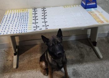 Guarapari: 10º Batalhão registra prisões, apreensões e cumprimento de mandado