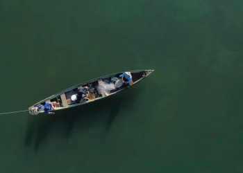 Irregularidades: Ministério da Pesca cancela mais de 76 mil licenças de pescadores