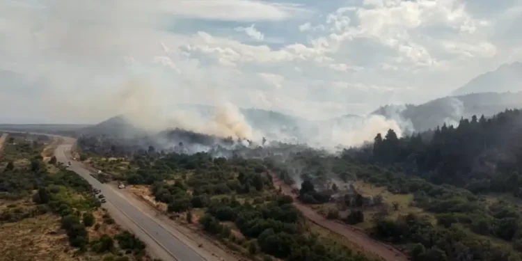 Argentina: Bombeiros combatem incêndio sem precedentes na Patagônia