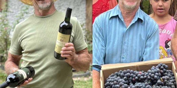 Alfredo Chaves: Tradição e força da produção de uva é exibida no Alfredo Rural