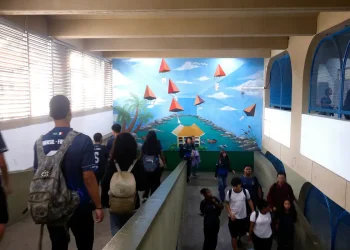 IBGE: Alerta para quadro preocupante na saúde mental de adolescentes