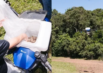 Tecnologia: Drones fazem papel de insetos para garantir futuro de espécies nativas