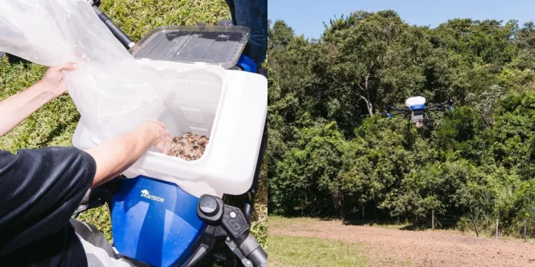 Tecnologia: Drones fazem papel de insetos para garantir futuro de espécies nativas