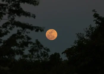 Fenômeno: “Lua Cheia das Flores” ocorrerá em 1º de maio