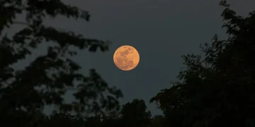 Fenômeno: “Lua Cheia das Flores” ocorrerá em 1º de maio