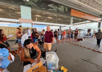 Marataízes: Meio Ambiente vacina cães contra cinomose durante Feira de Adoção no Open Perim