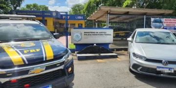 Guarapari: PRF apreende mais de 100 kg de maconha na BR-101