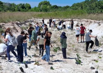 Estado: Parque Estadual Paulo César Vinha recebe plantio de mudas nativas em ação pelo Dia Estadual da Restinga