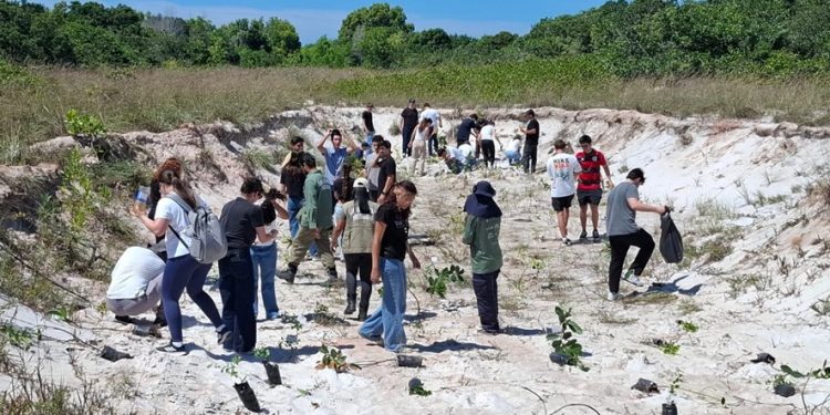 Estado: Parque Estadual Paulo César Vinha recebe plantio de mudas nativas em ação pelo Dia Estadual da Restinga