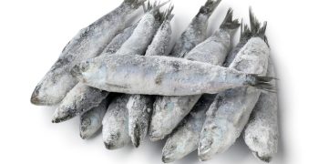 Fiscalização: Anvisa determina recolhimento de sardinha por contaminação por Salmonella