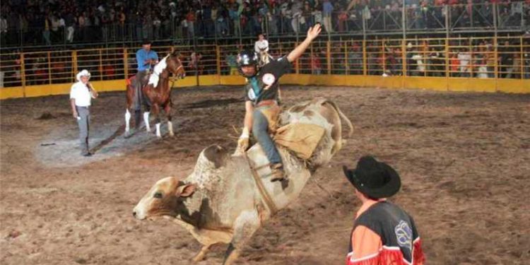 Alfredo Chaves: Festa do Clube do Cavalo vai agitar a cidade com shows, feira e rodeio