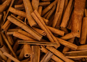 Fiscalização: Anvisa determina recolhimento de canela após identificar pelos de roedores